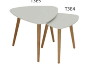 Coffee Table T3E4