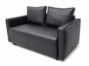 Double Black Sofa